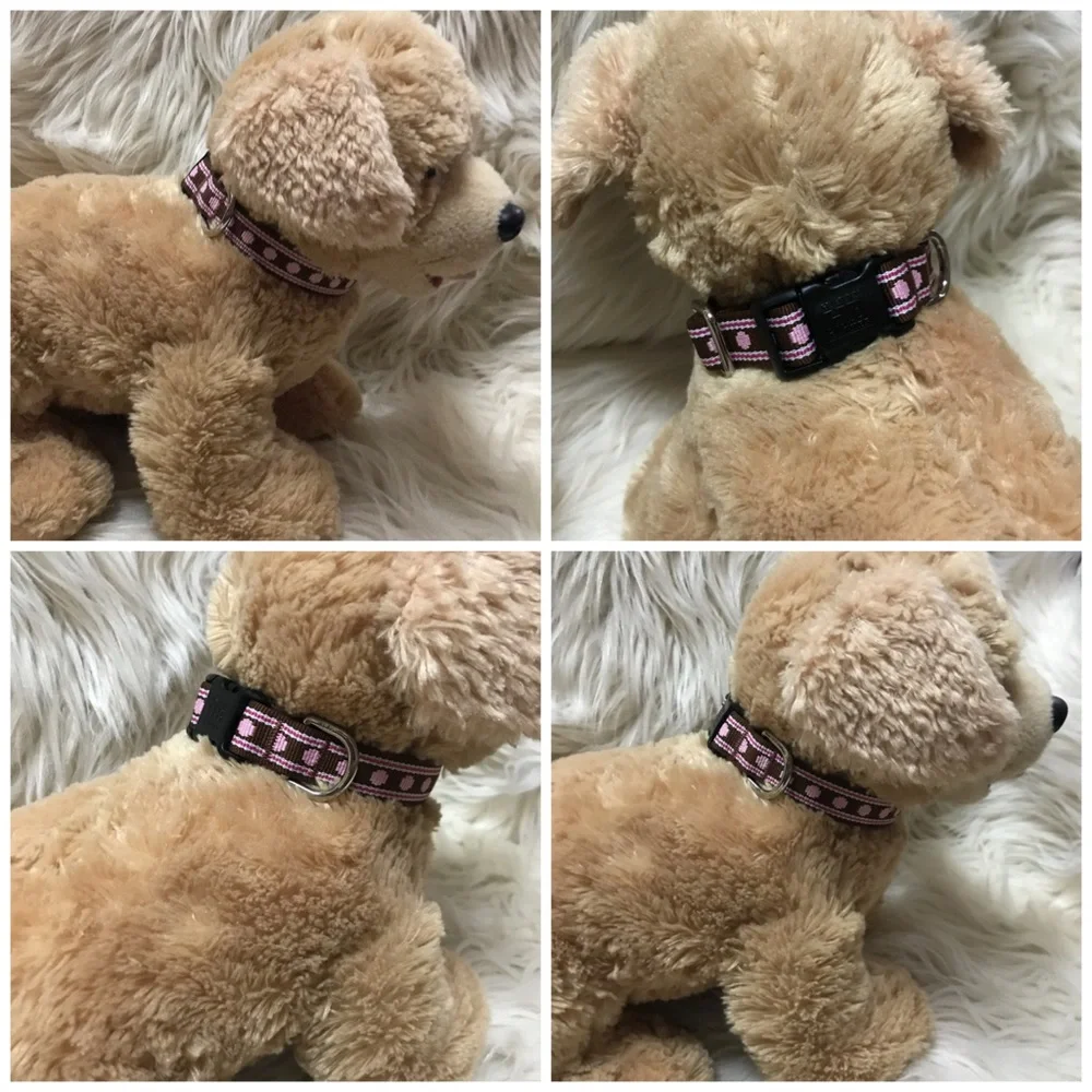 Harry Barker Canines for Veterans Dog Collar